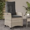 Image de Vidaxl Chaise Inclinable De Jardin Coussins Gris Clair RÃ©sine TressÃ©e