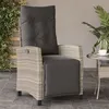 Image de vidaXL Chaise inclinable de jardin avec repose-pied gris clair rotin365238