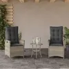 Image de vidaXL Chaises inclinables jardin lot de 2 et coussins résine tressée365270