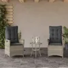 Image de Vidaxl Chaises Inclinables Jardin Lot De 2 Et Coussins RÃ©sine TressÃ©e