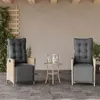 Image de vidaXL Chaises inclinables de jardin lot de 2 avec repose-pied rotin365293