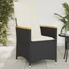 Image de vidaXL Vidaxl Chaise Inclinable De Jardin Avec Coussins Noir Résine Tressée