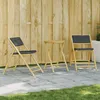 Image de Vidaxl Ensemble De Bistro Pliante 3 Pcs Et Coussins Gris FoncÃ© Bambou