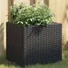 Image de Vidaxl JardiniÃ¨res 2 Pcs Noir 36x30x32 Cm RÃ©sine TressÃ©e