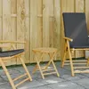 Image de vidaXL Table de jardin pliable Ø45x45 cm bambou365880