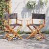 Image de Vidaxl Chaises Pliables De Jardin Lot De 2 Gris FoncÃ© Tissu