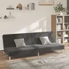 Image de vidaXL Canapé-lit à 2 places gris foncé tissu375724