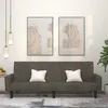 Image de vidaXL Canapé-lit à 2 places gris foncé velours375775