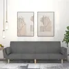 Image de vidaXL Canapé-lit à 2 places avec deux oreillers gris clair tissu375869