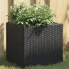 Image de vidaXL Vidaxl Jardinière Noir 36x30x32 Cm Résine Tressée