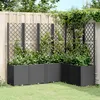 Image de vidaXL Vidaxl Jardinière Avec Treillis Noir 160x120x140 Cm Pp