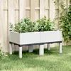 Image de vidaXL Jardinière avec pieds blanc 80x40x42 cm PP367894