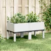 Image de vidaXL Vidaxl Jardinière Avec Pieds Blanc 80x40x42 Cm Pp