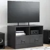 Image de vidaXL Meuble TV noir 67x39x44 cm acier841739