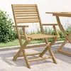 Image de vidaXL Chaises pliables de jardin lot de 2 bois massif d'acacia365737