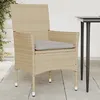 Image de vidaXL Chaises de jardin avec coussins lot de 2 beige résine tressée368112
