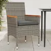 Image de vidaXL Chaises de jardin avec coussins lot de 2 gris résine tressée368120