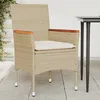 Image de Vidaxl Chaises De Jardin Avec Coussins Lot De 2 Beige RÃ©sine TressÃ©e