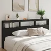 Image de vidaXL Armoire tÃªte de lit avec LED noir 220x17x102 cm