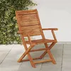 Image de vidaXL Chaises pliantes de jardin avec accoudoir lot de 2367698