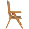 Image de Vidaxl Chaises De Jardin Lot De 2 Gris Bois D'acacia Et PolypropylÃ¨ne