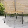 Image de vidaXL Chaises de jardin lot de 2 marron résine tressée369099