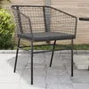 Image de vidaXL Chaises de jardin lot de 2 avec coussins noir résine tressée369100