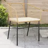 Image de vidaXL Chaises de jardin lot de 2 et coussins marron rotin369101