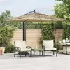 Image de vidaXL Parasol de jardin avec LED et mât en acier marron 269x269x235cm
