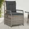 Image de vidaXL Chaises inclinables de jardin lot de 2 gris résine tressée368663