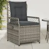 Image de Vidaxl Chaises Inclinables De Jardin Lot De 2 Gris RÃ©sine TressÃ©e