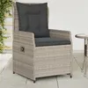 Image de vidaXL Chaises inclinables de jardin lot de2 gris clair résine tressée368657