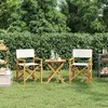 Image de vidaXL Chaises de metteur en scène pliantes lot de 2 Bois teck massif4008512