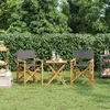 Image de vidaXL Chaises de metteur en scène pliantes lot de 2 Bois teck massif4008513