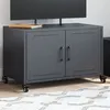 Image de vidaXL Meuble TV anthracite 68x39x43,5 cm acier laminé à froid846640