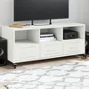 Image de vidaXL Meuble TV blanc 100,5x39x43,5 cm acier