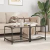 Image de vidaXL Tables basses avec dessus en verre noir 2 pcs 50x50x40 cm acier845973