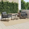 Image de Vidaxl Chaises De Jardin Avec Coussins Lot De 2 Noir Acier