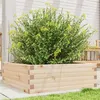 Image de vidaXL Jardinière 70x70x23 cm bois de pin massif847193