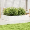 Image de Vidaxl JardiniÃ¨re Blanc 110x110x23 Cm Bois De Pin Massif