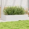 Image de vidaXL Jardinière blanc 110x60x23 cm bois de pin massif847239