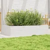 Image de Vidaxl JardiniÃ¨re Blanc 110x60x23 Cm Bois De Pin Massif