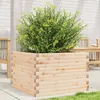 Image de vidaXL Vidaxl Jardinière 70x70x45,5 Cm Bois De Pin Massif
