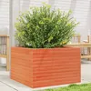 Image de vidaXL Vidaxl Jardinière Cire Marron 70x70x45,5 Cm Bois De Pin Massif