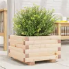 Image de vidaXL Jardinière 40x40x26,5 cm bois de pin massif847288