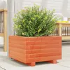 Image de Vidaxl JardiniÃ¨re Cire Marron 40x40x26,5 Cm Bois De Pin Massif