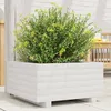 Image de Vidaxl JardiniÃ¨re Blanc 50x50x26,5 Cm Bois De Pin Massif