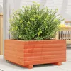 Image de Vidaxl JardiniÃ¨re Cire Marron 50x50x26,5 Cm Bois De Pin Massif