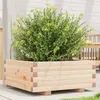 Image de vidaXL Jardinière 60x60x26,5 cm bois de pin massif847298