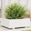 Image de vidaXL Jardinière blanc 70x70x26,5 cm bois de pin massif847304